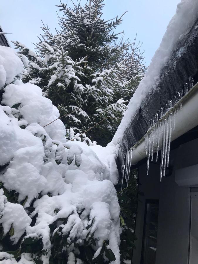 Schoenwald Waldchalet Am Musenberg Stryck Exterior foto