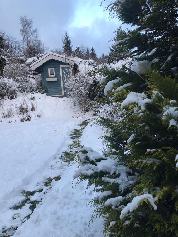 Schoenwald Waldchalet Am Musenberg Stryck Exterior foto